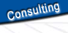 COnsulting